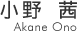 ���� ��